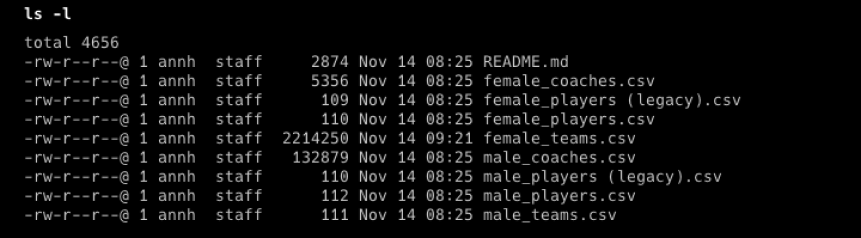 List of files in the directory after fetching female_teams.csv
